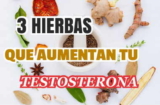 Consumir alguna de estas tres hierbas te ayudará a aumentar tu testosterona