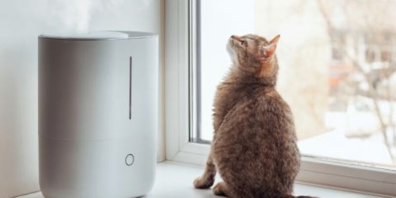 Cómo limpiar y desinfectar un humidificador