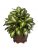 Dieffenbachia artificial para decorar