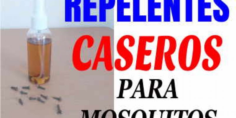 Ahuyenta a los mosquitos con estos repelentes caseros